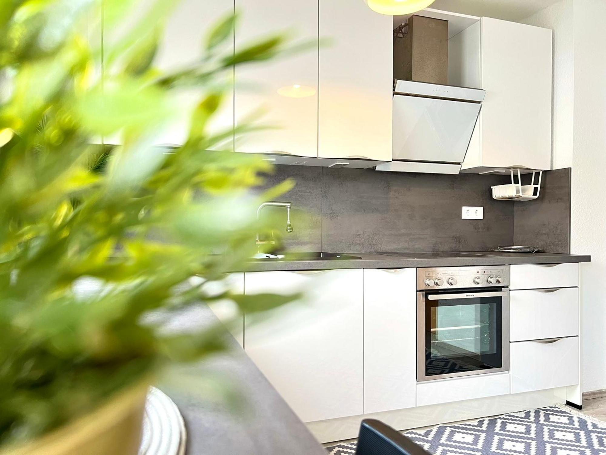 Comfy Apartment Mit Garten In Koeln Εξωτερικό φωτογραφία